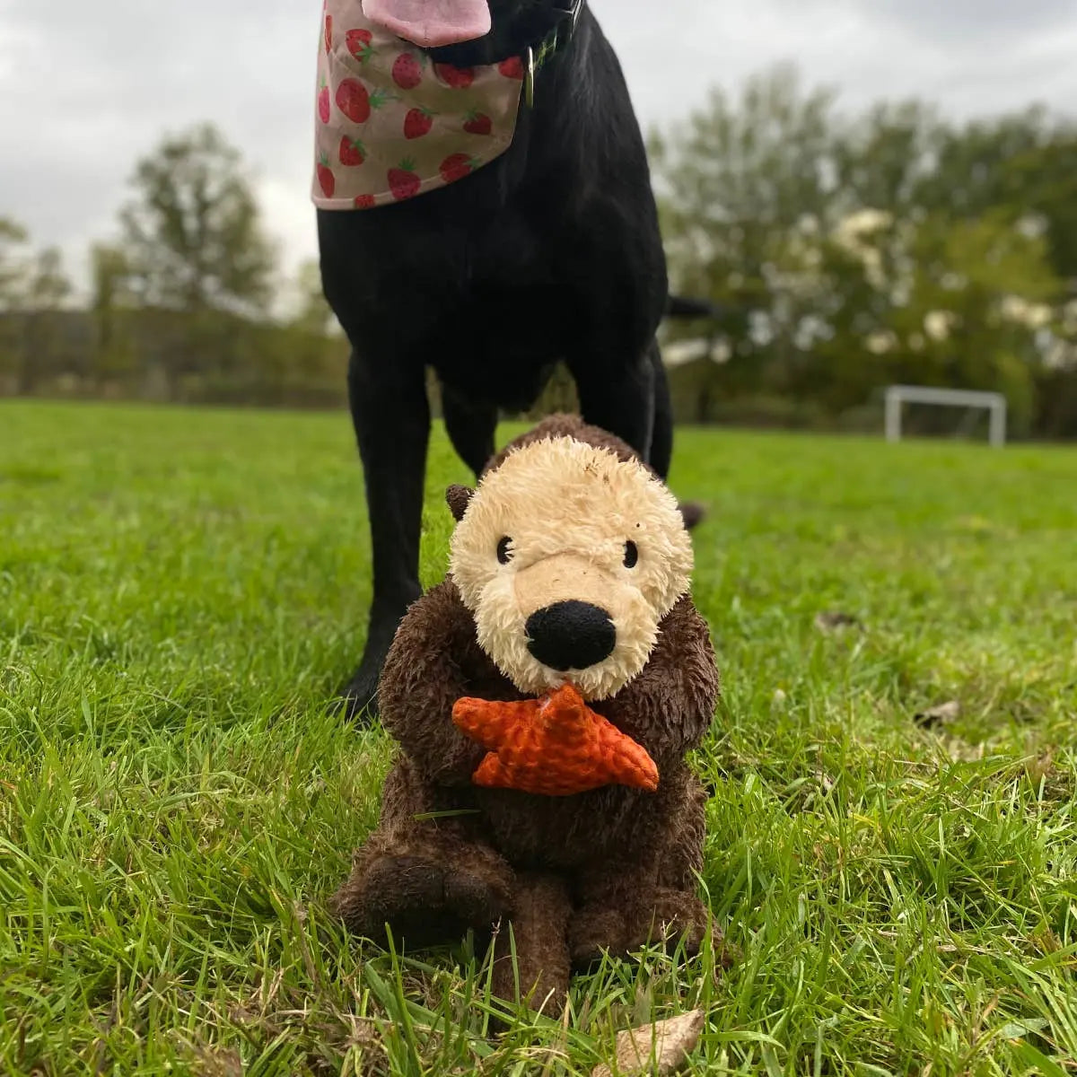 Otter Rope Body Dog Toy Tall Tails