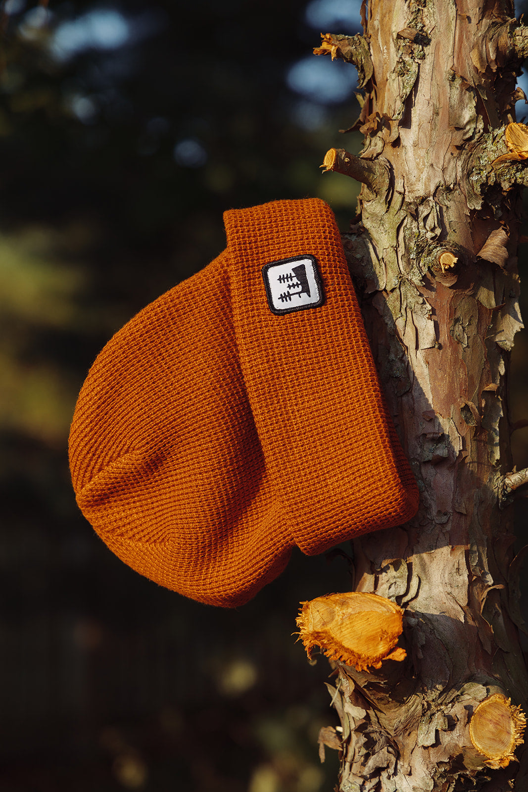 Rust Grove Beanie