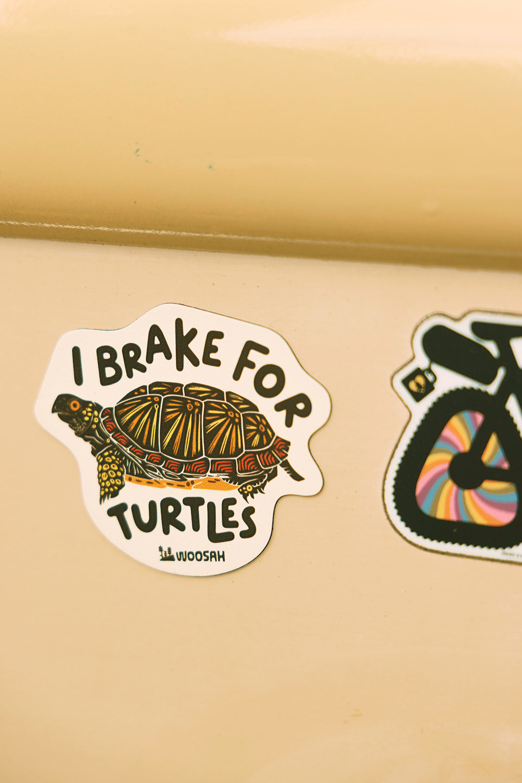 I Brake For Turtles Magnet